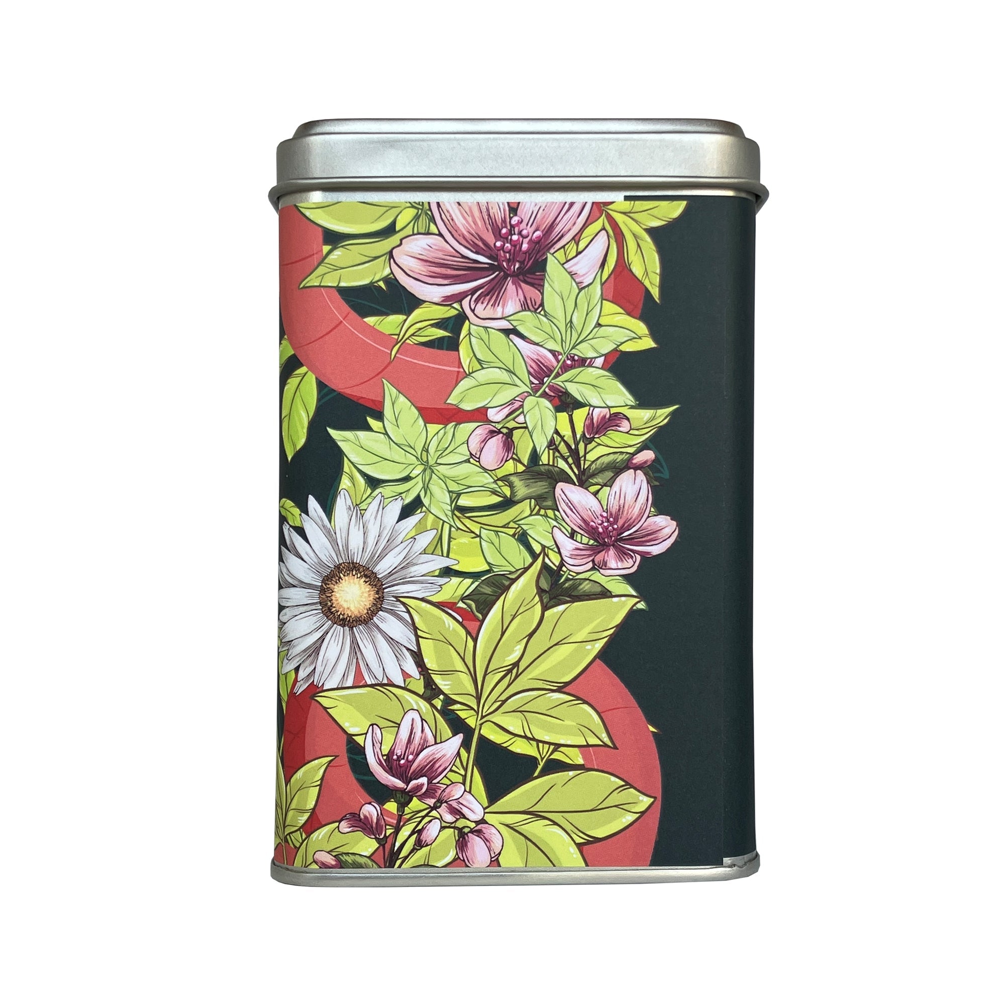 Chaidim Tea Surprise Box - Red Snake on Black 10 Teabags