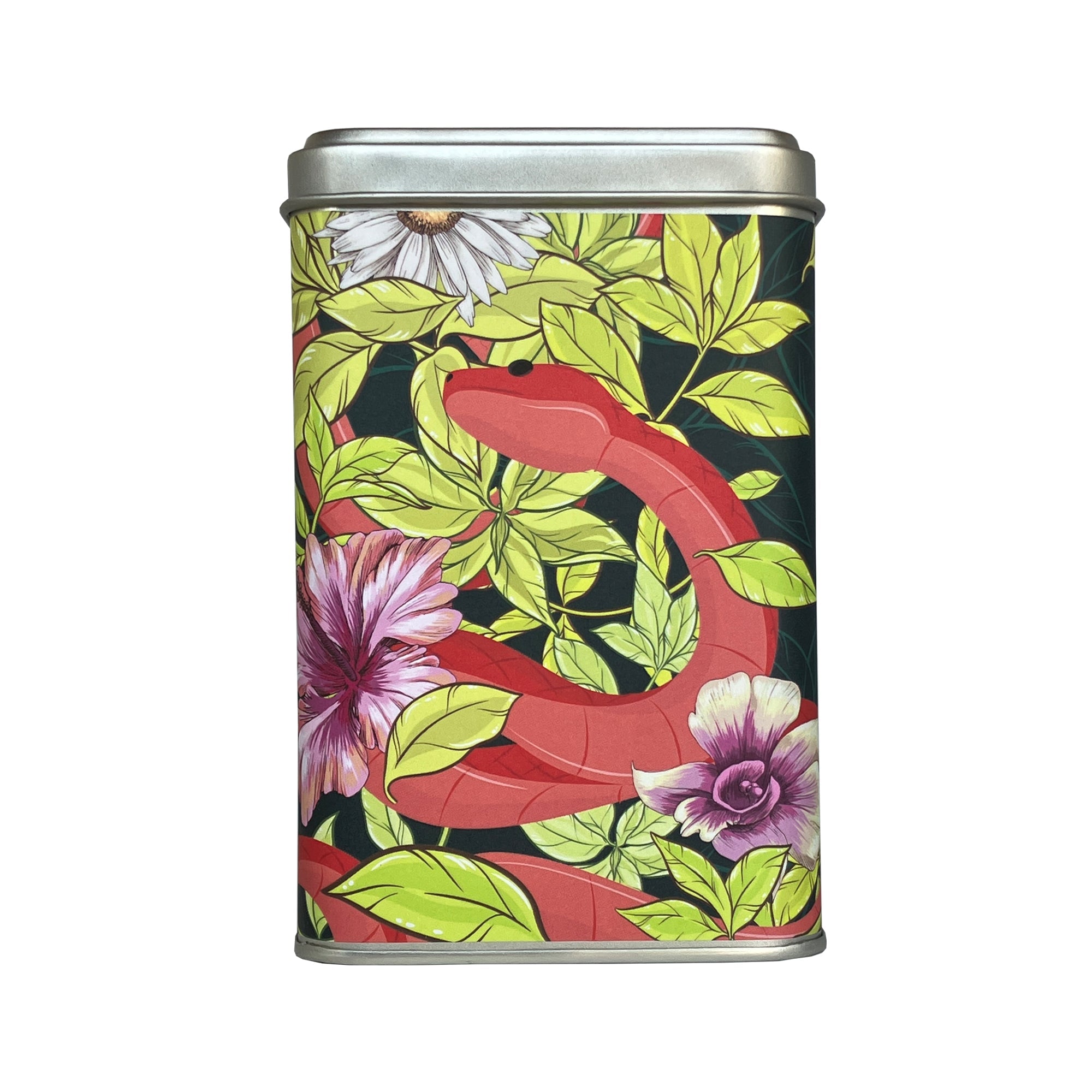 Chaidim Tea Surprise Box - Red Snake on Black 10 Teabags
