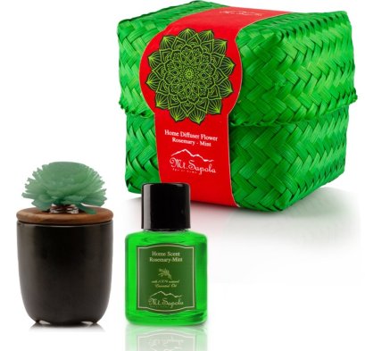 Mt. Sapola Home Scent Reed Diffuser Refill - Rosemary-Mint 30ml