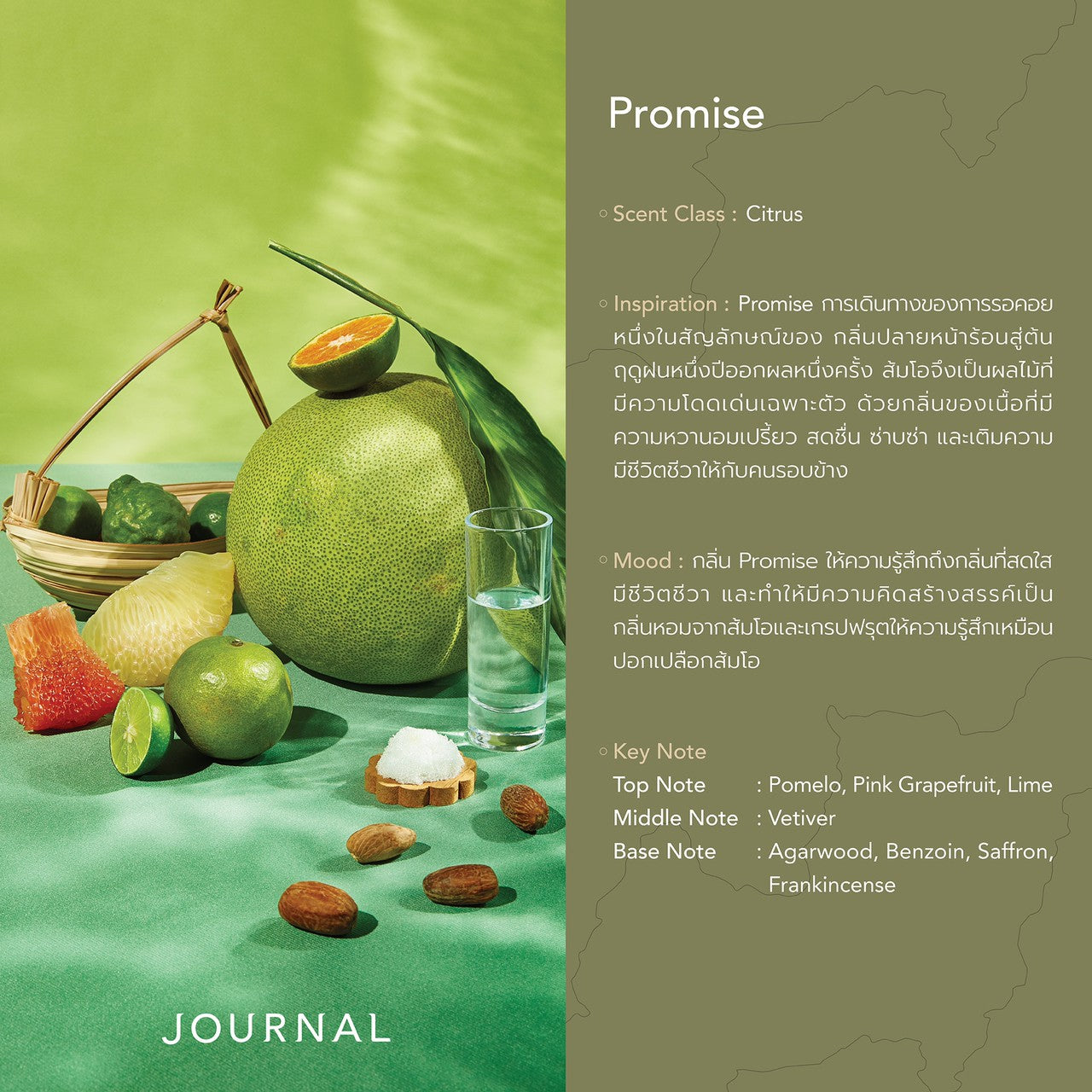 Journal Promise Reed Diffuser 100 ml