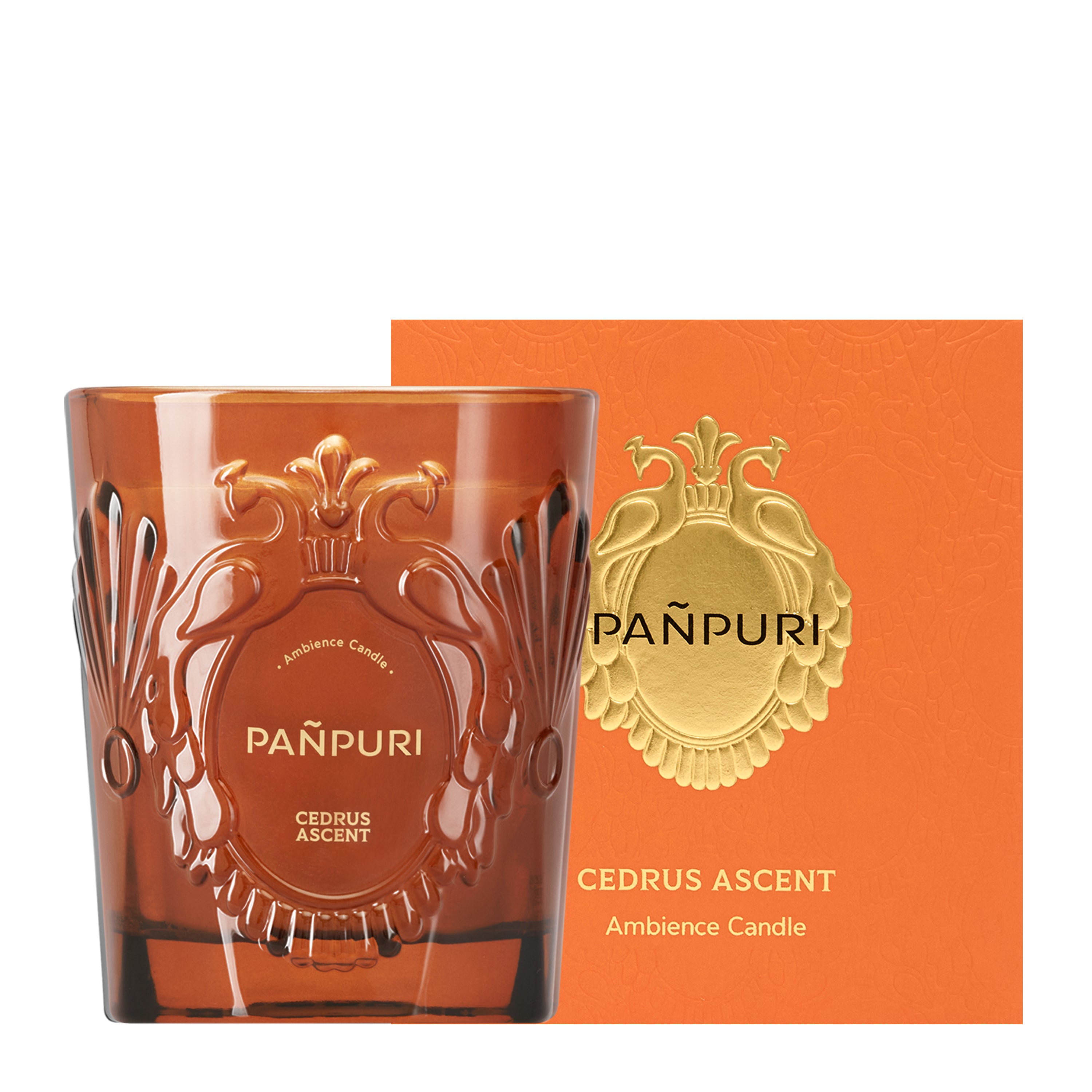 Panpuri Scented Candle - Cedrus Ascent 250g