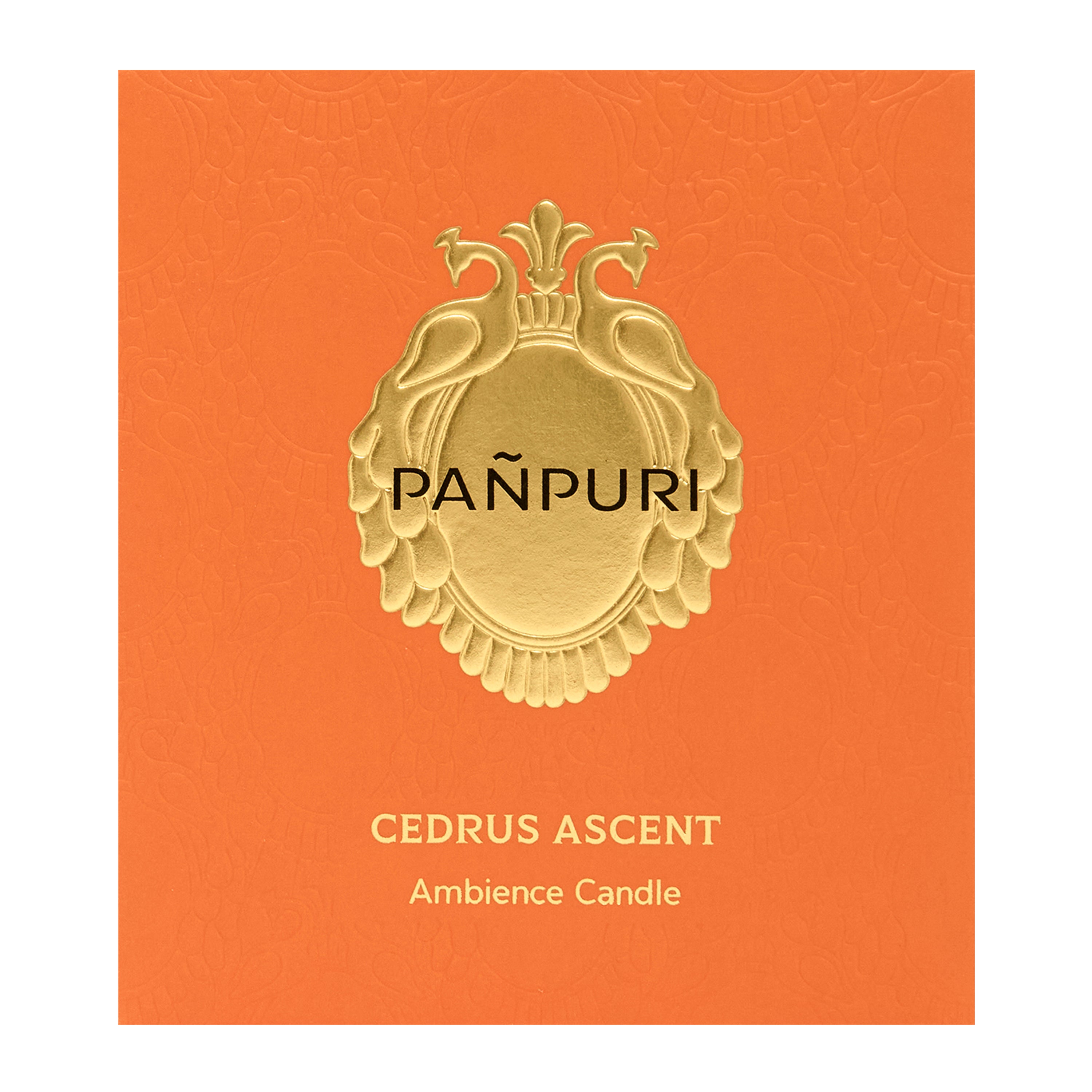 Panpuri Scented Candle - Cedrus Ascent 250g