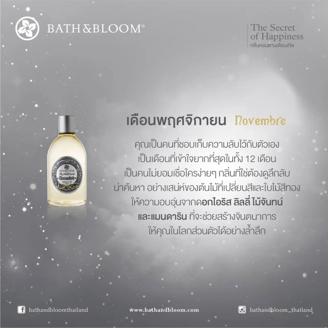 Bath&Bloom Novembre Reed Set Chrome 300ml