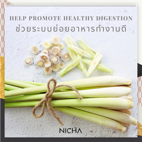 Nicha Tea Siamese Spa Lemongrass Pandan Tea 25 Sachets