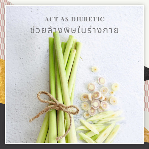 Nicha Tea Summer Lemongrass Ginger Infusion 25 Sachets