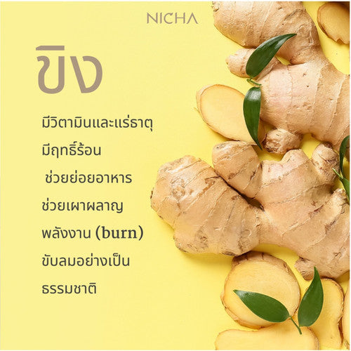 Nicha Tea Warm Summer Lemongrass Ginger Pandan Tea 25 Sachets