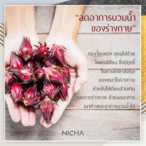 Nicha Tea Rouge Roselle Tea 25 Sachets