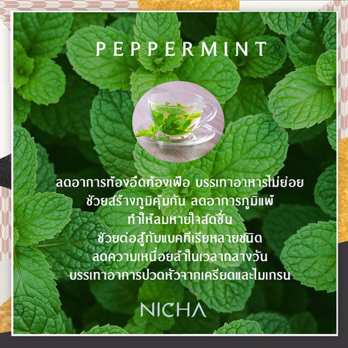 Nicha Tea Peppermint Tea 25 Sachets