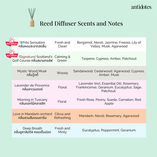Antidotes Reed Diffuser Box Set