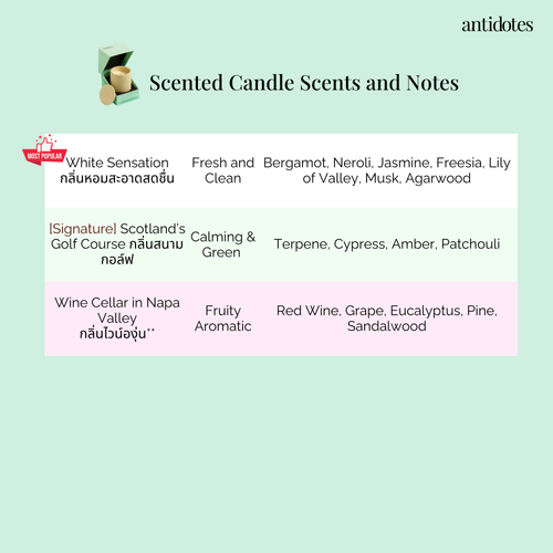Antidotes Scented Candle 290g