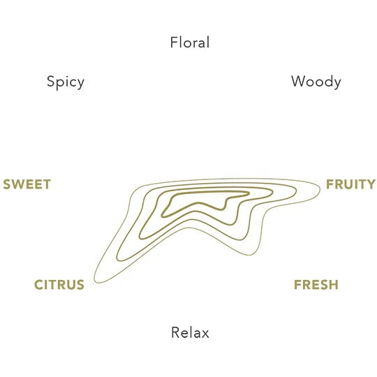 Journal Promise Reed Diffuser 100 ml